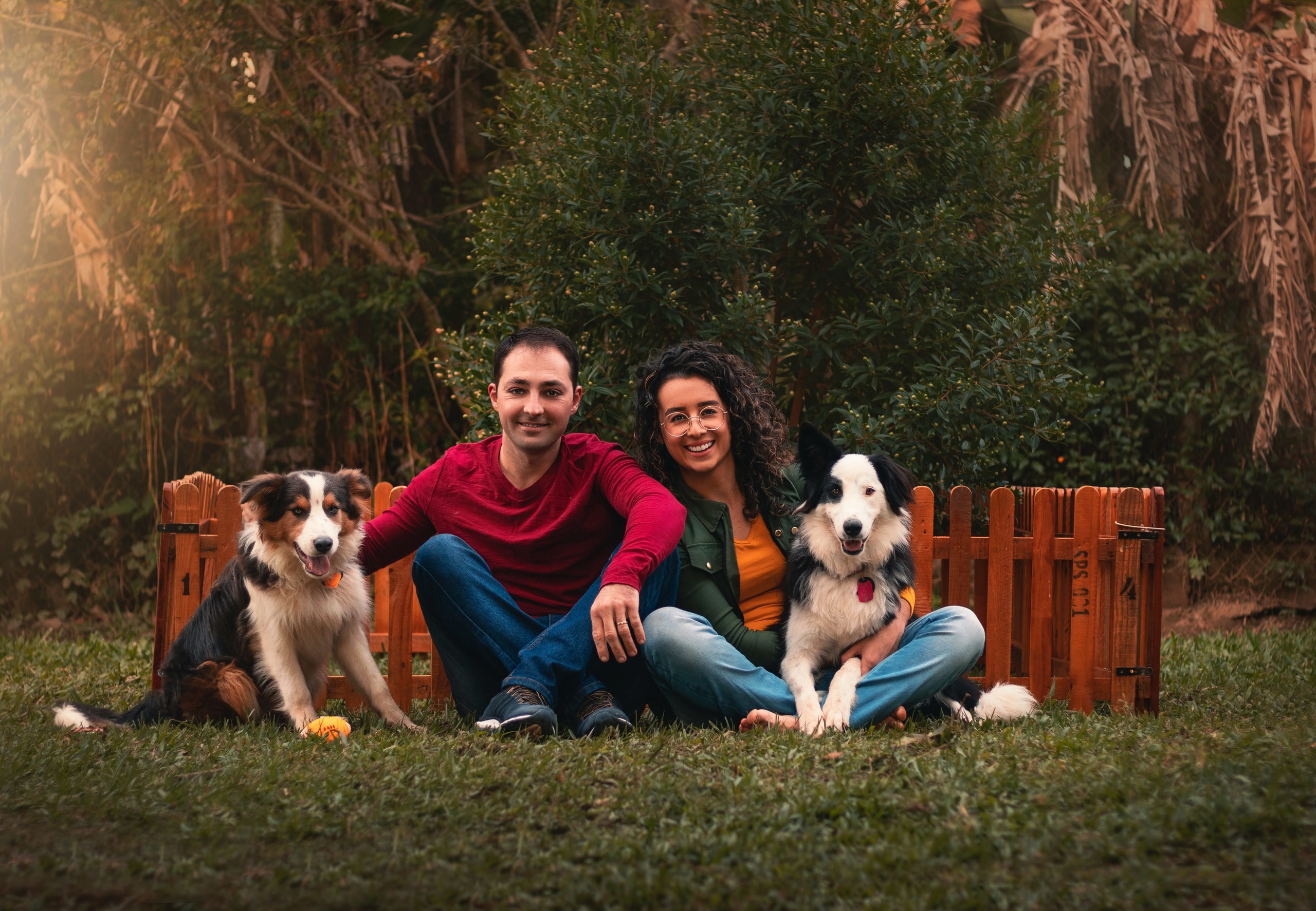 Momento de passeio com os pets